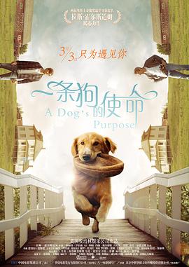 欧美日韩在线一区